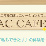 AC CAFE